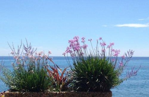 Les Caroubiers - Photo 26