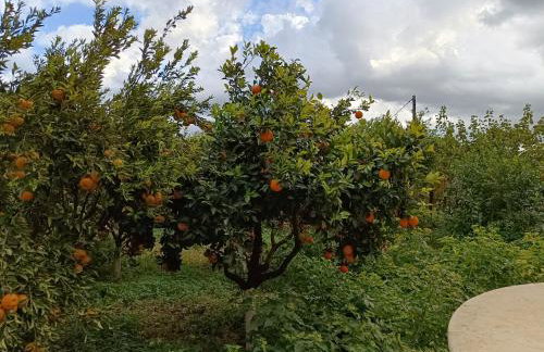 KTHMA "Ν" Πέτρινη Μεζονέτα - Photo 52