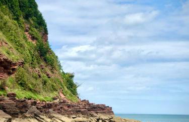 Orient House - Foto 37