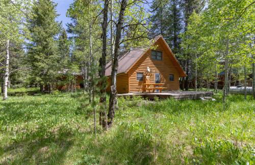 Remington Reload by KABINO Hot Tub FirePit Roku Big Yard Driveway Grill WiFi Trails - Foto 10