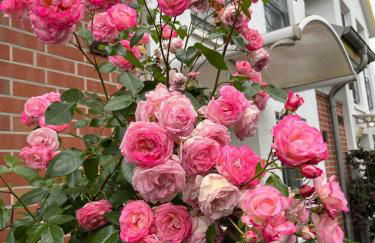 Storchenblick-No-1 - Foto 21