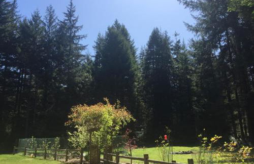 Redwood Log Cabin - Foto 17