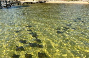 Luxury Beach Cottage With Private Beach - Foto 78