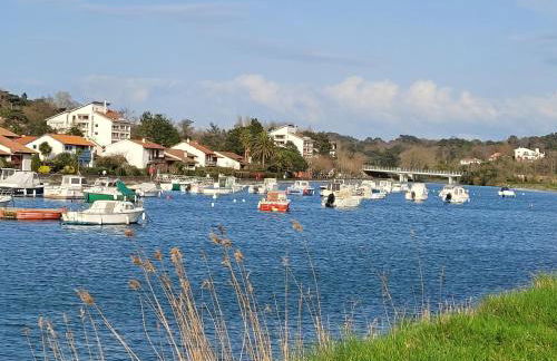 studio résidence du golf et Nivelle - Foto 1