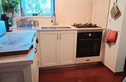 Monte do Rei Santo - Foto 68