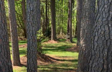 Two Oysters House - Foto 20