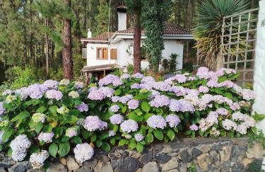 Floral garden house - Foto 27