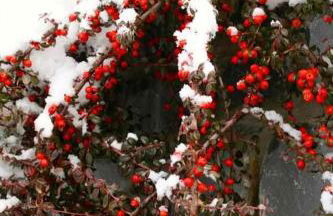 Casa Biescas Ski EVcharger Formigal 30min BBQ - Foto 39