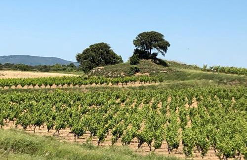 Comfortable villa with jacuzzi - Foto 27