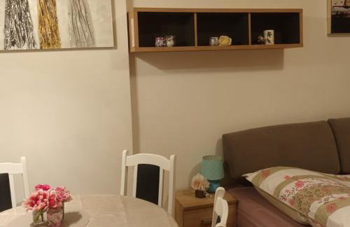 Apartman Kvatric - Photo 12