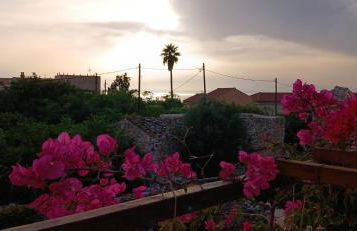 Pandera areopoli - Foto 30