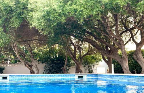 Starbal Love - Foto 48