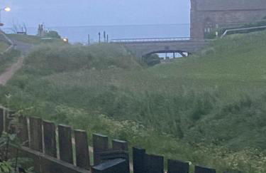 Number Fifty Six - Foto 41