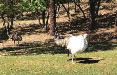Casa Bellavista con piscina en Caldes Costa Brava - Foto 128