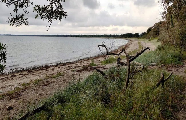 5 Star Holiday Home in Asnaes - Foto 48