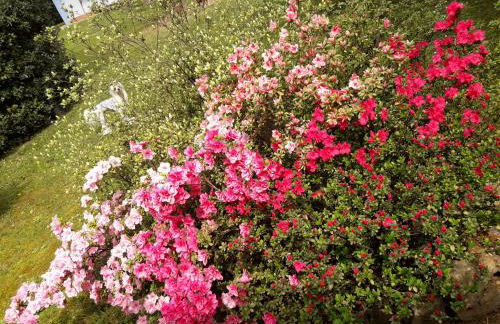 Villa Celeste - Foto 76