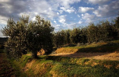 Agriturismo Sanguineto - Foto 154