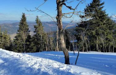 Apartament Sadyba - Foto 34