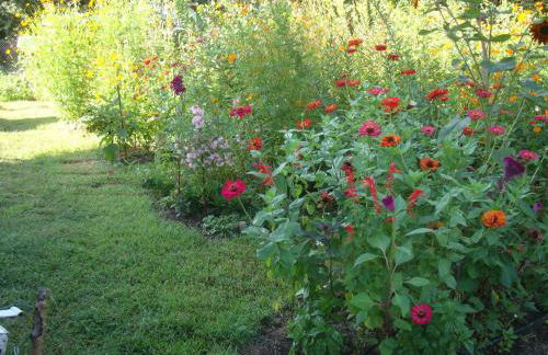 The Strawhouse under the mountain - Foto 30