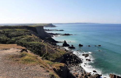 Bude Coastal Lodge - Foto 17