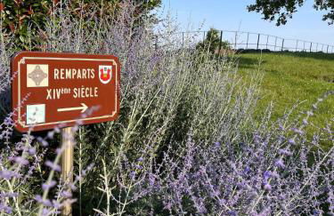 Au pied des vignes - Foto 38