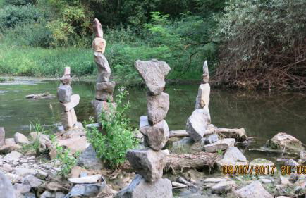 Wildgarten - Foto 20