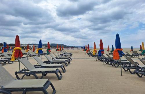Super Deauville appartement 2 pièces cosy proche plage plein sud - Foto 5