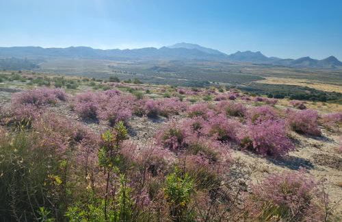 Taylors Camposol Apartment - Foto 38