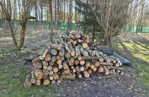 Dom Pod Brzozami Lipinki Bory Tucholskie basen - psy, koty mile widziane! - Photo 35