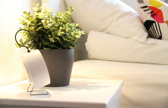 Saga Caves - Foto 23