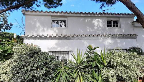 Casa Polo - Photo 4, Garden view