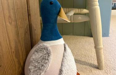 Historic 3-Bed Cottage with Garden in Hursley - Foto 9