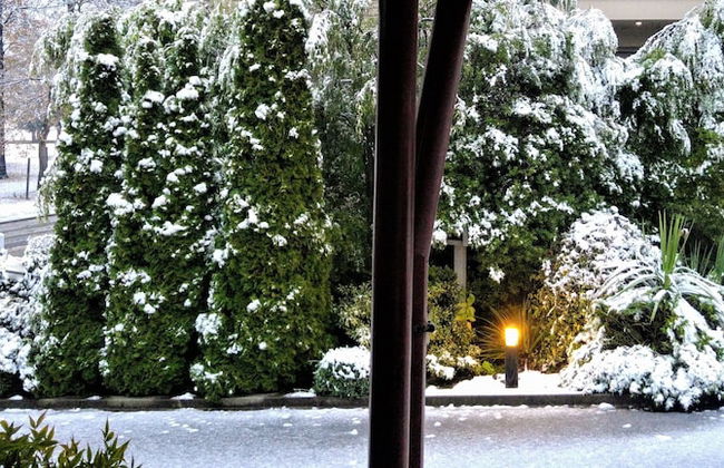 Aspen Lodge Motel - Photo 54