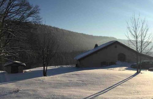 Maison de charme Haut-Jurassienne - Foto 5
