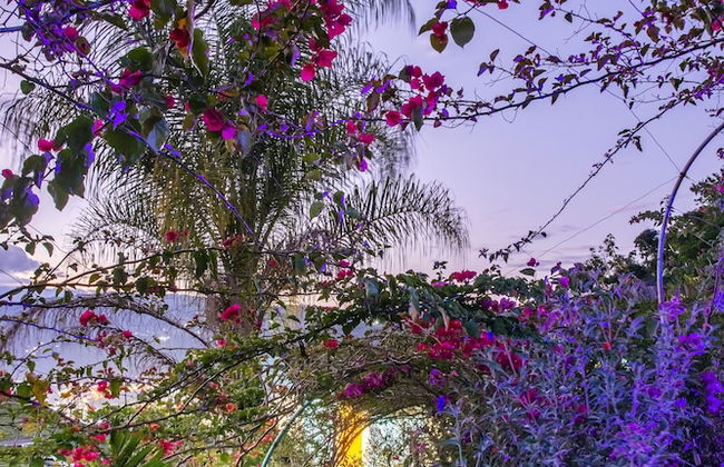 Sunset Palm Lodge - Foto 68