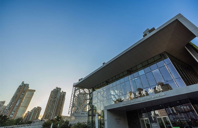 THE ONE Shanghai Downtown, Vignette Collection by IHG - Foto 42