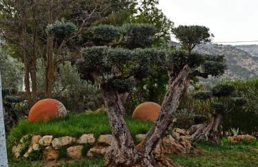 Complejo Rural Ibipozo - Foto 8