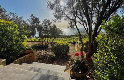 La PAVONCELLA 2 - Foto 22