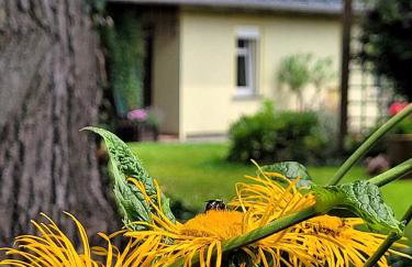 Gościniec Pod Bukiem - Foto 8