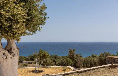 Ligaridia Apartments - Foto 5