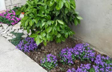 Apartment Visoka - Foto 18