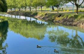 Cantinhos Da Serra e Sopé, Soure - Foto 18