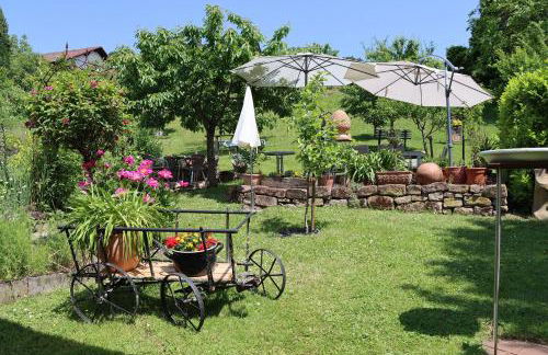 FEWO Odenwald - Anna - Photo 3