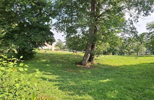 Le refuge barbezien - Photo 12