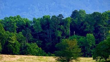 Baxter Farmhouse - Foto 2