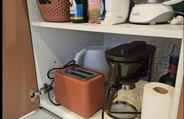 Algae n'areia - Foto 21