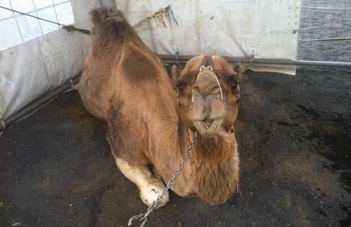 La Finca Uga - Photo 64