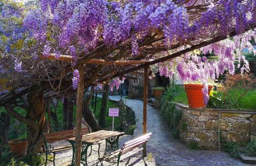 La Vivagna - Casa vista mare tra gli ulivi - Foto 18