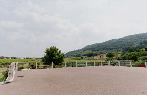 Corte Recamao - Foto 52