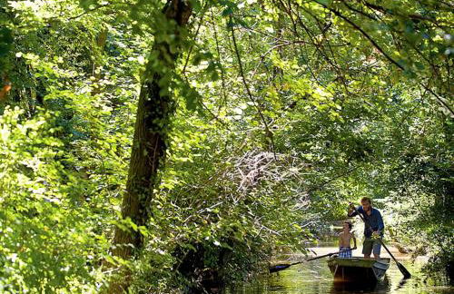 Villa in Venice with Private Pool & Park - Foto 26